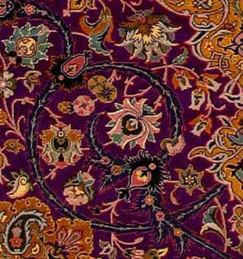 detail of purple carpet