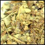 Picture of crushed henna leaves.